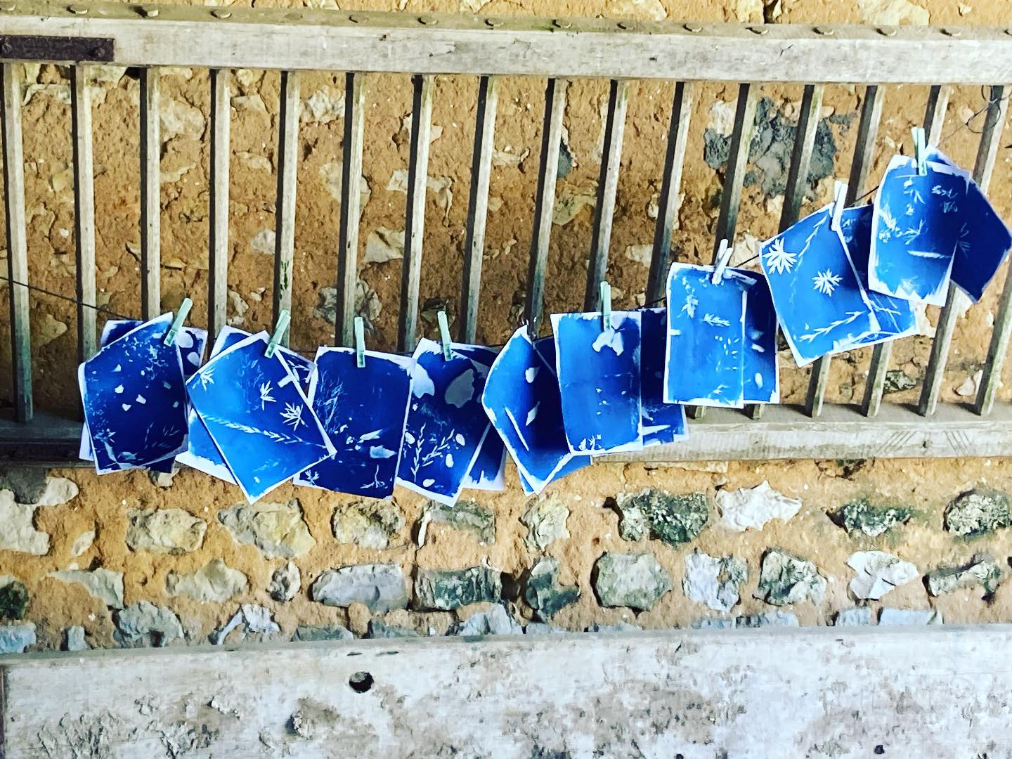 Atelier cyanotypie pour les enfants et les scolaires