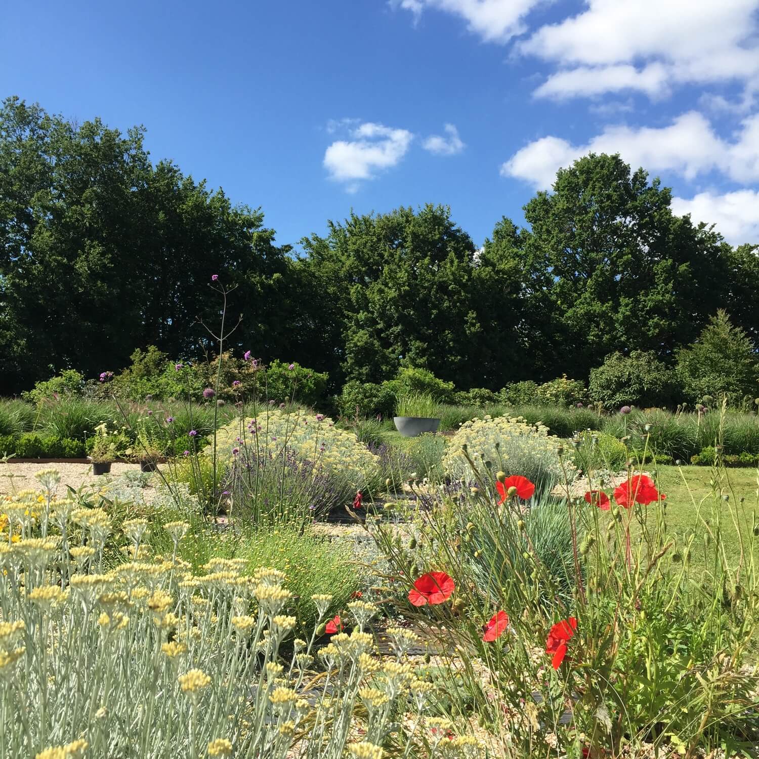 Jardin méditérranéen