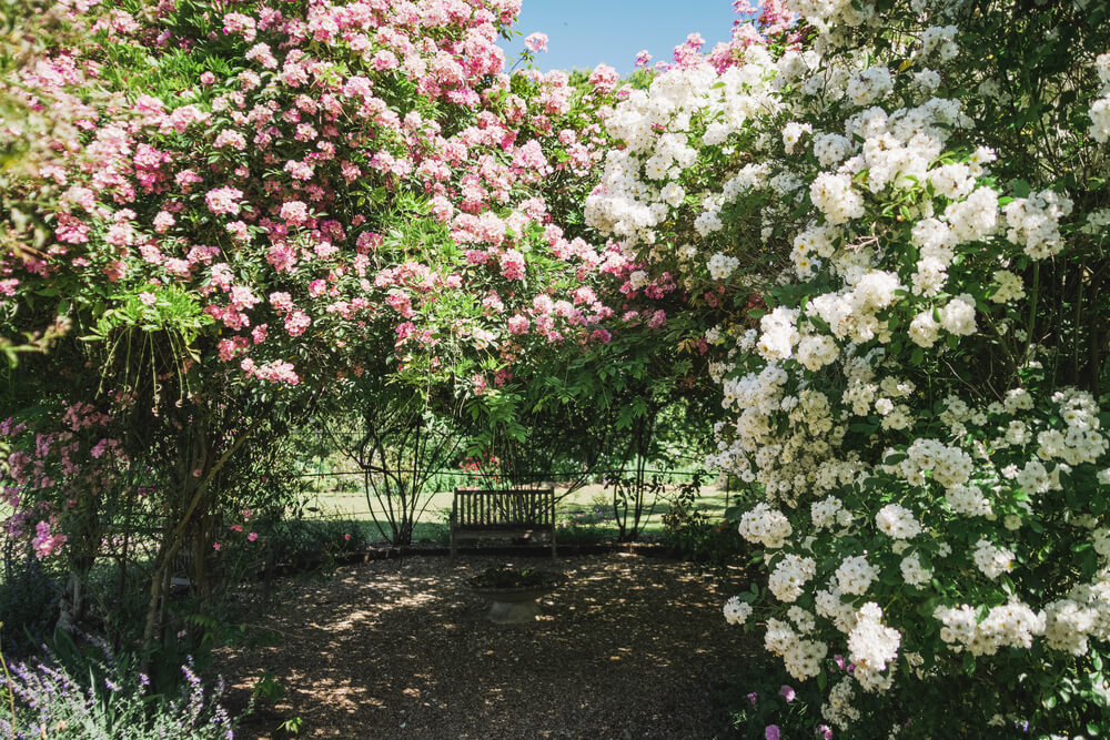 Billeterie le-jardin-de-marie-printemps