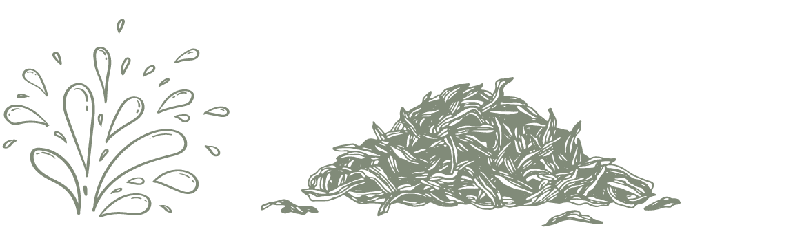 eco-gestes_economie-eau